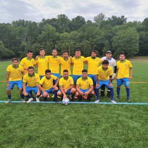 Meet your Posher, Wilfredo